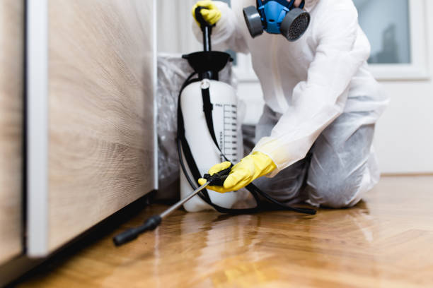 Best Emergency Pest Control  in Brighton, IL