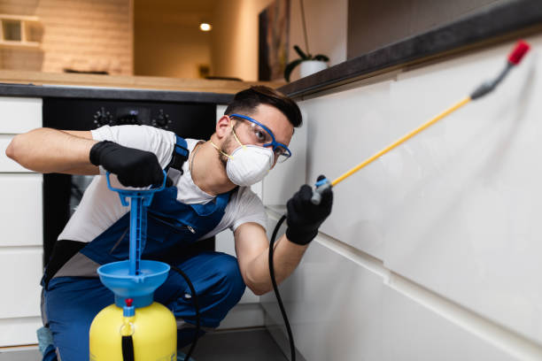 Best Wildlife Control Services  in Brighton, IL