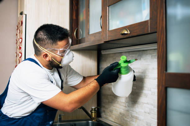 Best Pest Prevention Services  in Brighton, IL