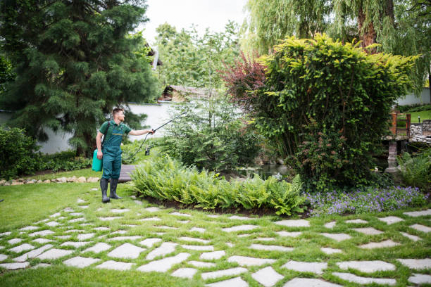 Best Commercial Pest Control Services  in Brighton, IL