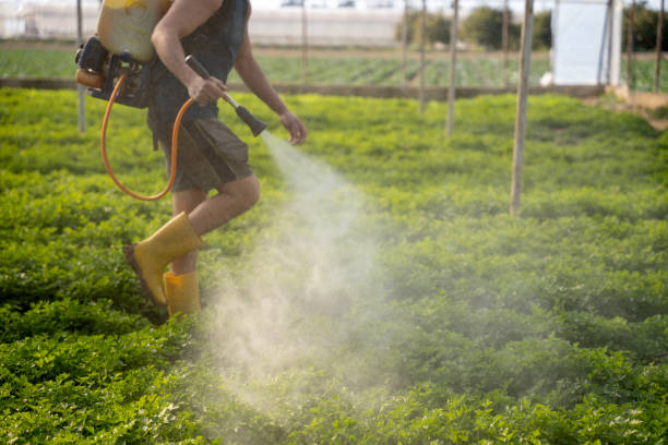 Best Best Pest Control Near Me  in Brighton, IL