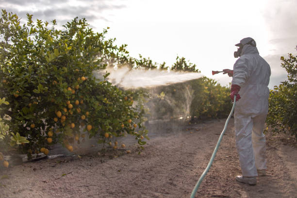 Best Mosquito Control Services  in Brighton, IL
