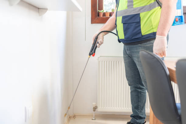Pest Prevention Services in Brighton, IL