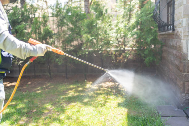 Best Rat Extermination Near Me  in Brighton, IL