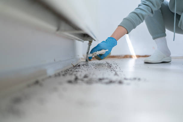Brighton, IL Pest Control Company
